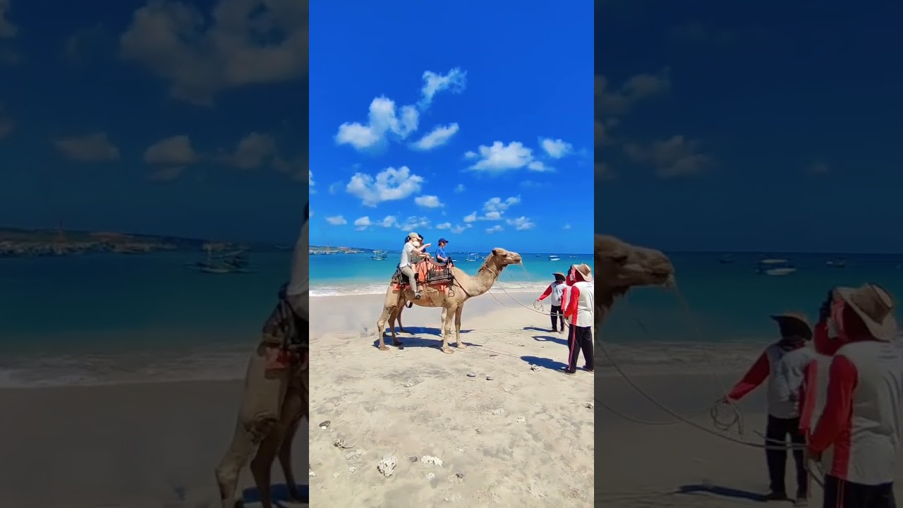 YouTube Short thumbnail