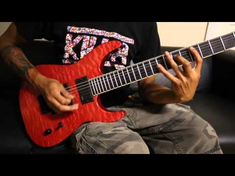 VEIL OF MAYA (Guitar Play-Through) - It's Not Safe To Swim Today