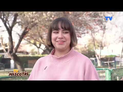 Dalgi: La historia de un perro de apoyo emocional