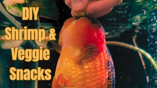 Download lagu Makanan Ikan Mas Buatan Sendiri – Tanpa Pengawet, Sepenuhnya Alami! mp3 Download lagu Makanan Ikan Mas Buatan Sendiri – Tanpa Pengawet, Sepenuhnya Alami! mp3