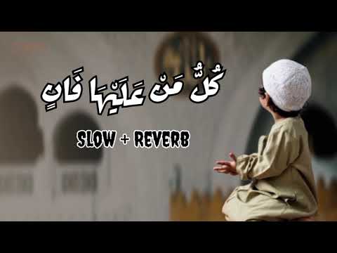 Salman Iqbal Unofficial and Salman Iqbal | سَلْمان اِقبال