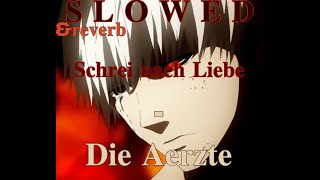Die Ärzte - Schrei nach Liebe {𝐒𝐥𝐨𝐰𝐞𝐝 &amp; 𝐫𝐞𝐯𝐞𝐫𝐛}