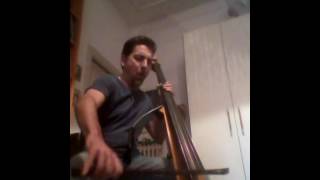 Upright bass with effects - overdrive, delay, loop