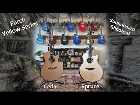 Furch Yellow Series Comparison | Master's Choice Cedar Rosewood vs Deluxe Sitka Rosewood