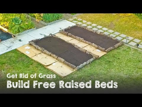 How To Turn Your Lawn Into a RAISED BED GARDEN for FREE Video