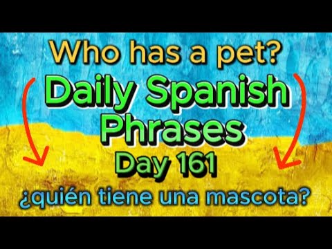 Spanish Phrases Daily!!! Day 161!!!
