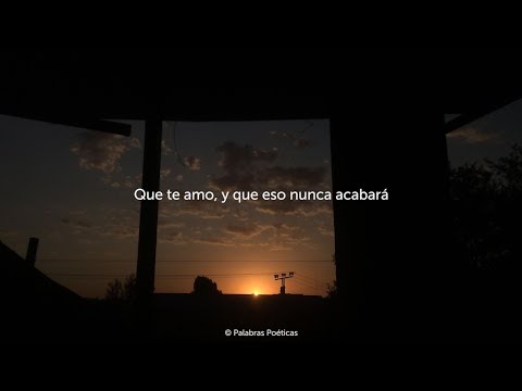 The Irrepressibles - In This Shirt (Letra en Español)