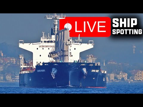 Ship Traffic & Relax Music | Live Broadcasting