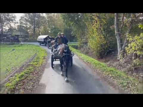 Ausfahrt Westfälischer Haflingerverein in Ladbergen 29.10.2022
