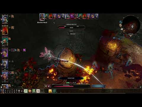 Divinity Original Sin 2 Definitive Edition Boss Fight : Radeka The Witch (1080p)