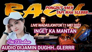 Download lagu INGET KA MANTAN KENDANG RAMPAK RAGIL PONGDUT... mp3