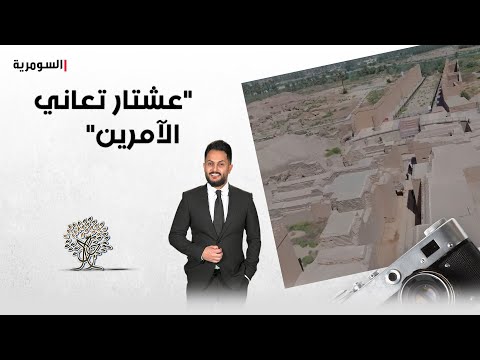 شاهد بالفيديو.. عشتار تعاني الآمرين