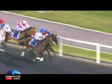 09.02.2012 Meydan (Dubai UAE) 1.Race Al Maktoum Challenge R2 2012 - Araberrace Group I 2.200 m