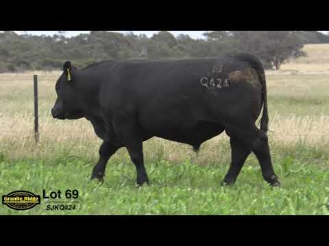 GRANITE RIDGE QUARRY Q424