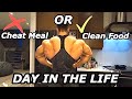 MY CURRENT SHREDDING DIET FOR ROMANIA PRO! 10 DAYS OUT ARE CHEAT MEALS GOOD?