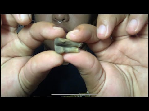 Bone experiment BI-124 Lab