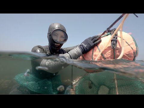 The deepest harvest: the vanishing art of Jeju's sea women