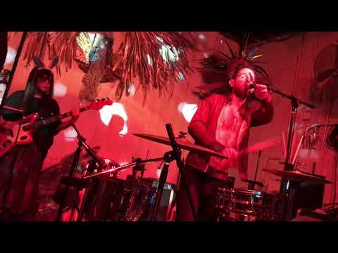 Van goose April 20 2019