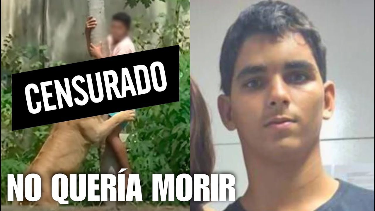 FUE UNA TR4G3Dl4 ANUNCIADA: El CHICO que FUE C0M... por UNA LEONA