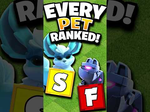 Ranking EVERY Hero Pet from WORST to BEST - Tier List