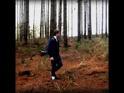 Not Today - Dora Ellison Mystery Book 1 #bookrecommendations #mysterybooks #murdermysteries