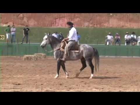 Detetive do Macanudo - 2º Lugar Machos