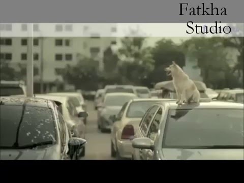 BALAS BUDI SEEKOR ANJING ..SUNGGUH MENGHARUKAN SEKALI