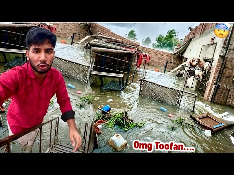 Suddenly a big storm came in our pet house 😱🌪️