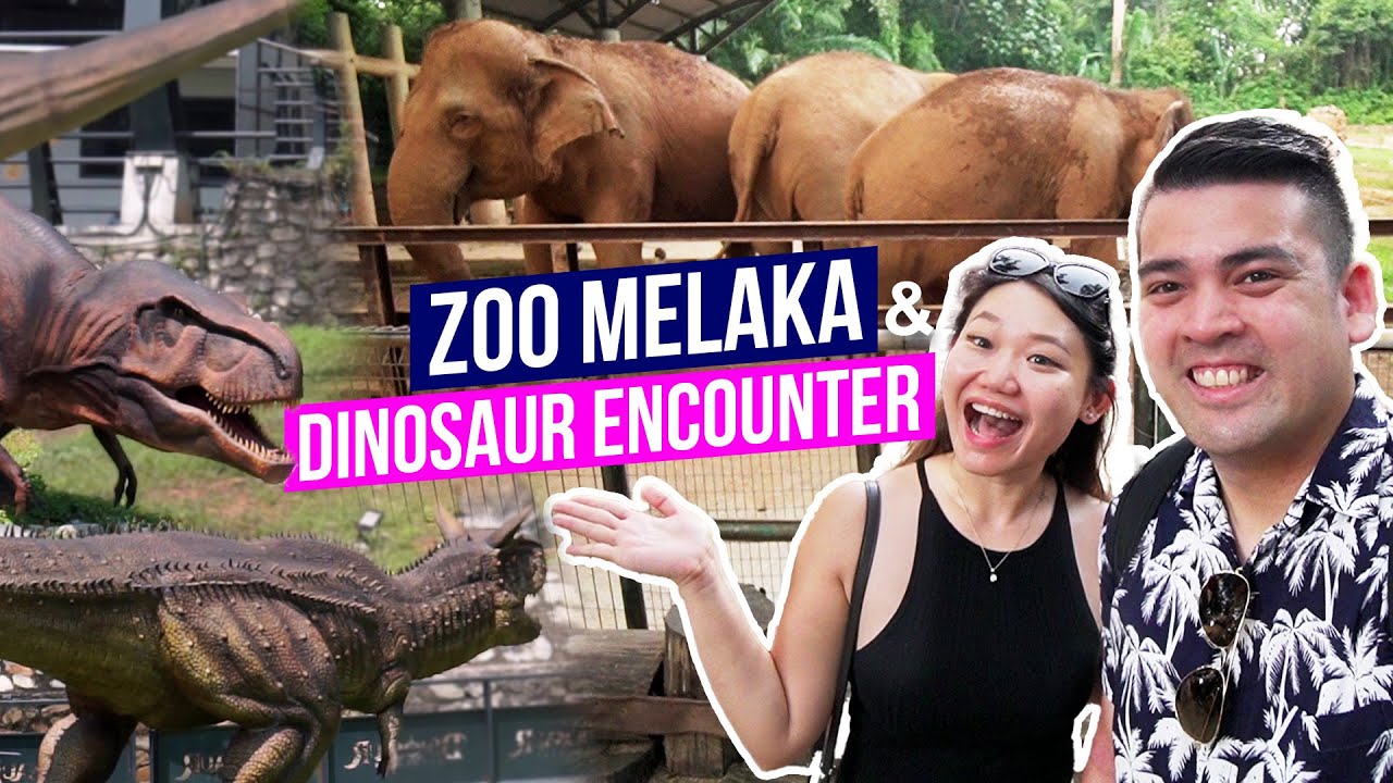 Join a dynamic duo as they venture through the exotic wonders of Zoo Melaka.