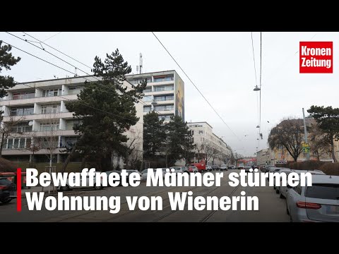 Brutal home invasion: Armed men storm Viennese woman's apartment | krone.tv NEWS