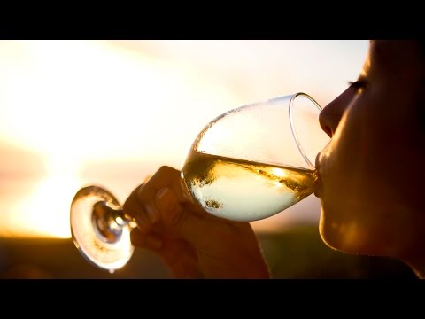 A wine-lover's guide to Pinot Grigio | The World of Wine