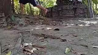 Download lagu Video Ngakak - Kowe Tak Sayang Sayang Story WA mp3 Download lagu Video Ngakak - Kowe Tak Sayang Sayang Story WA mp3