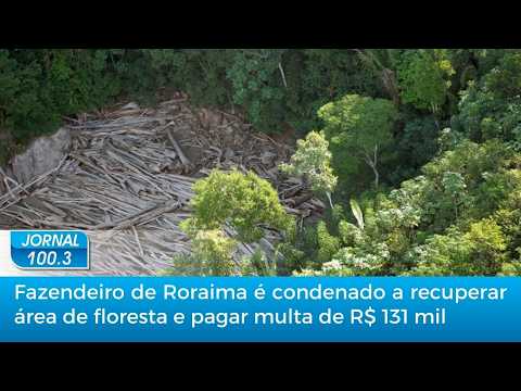 Fazendeiro de Roraima é condenado a recuperar área de floresta e pagar multa de R$ 131 mil