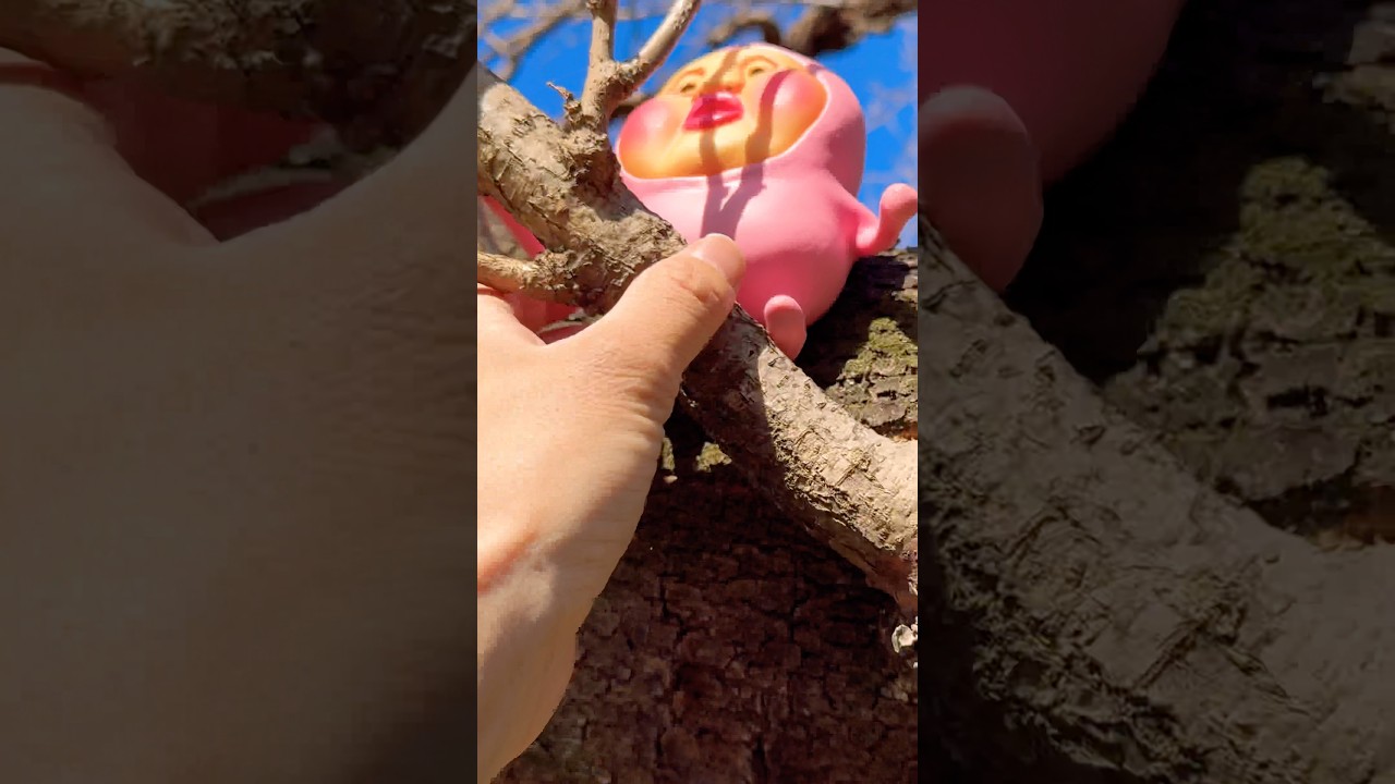 カクレモモジリを捕まえることに…🍑 #こびとづかん #こびと図鑑 #shorts