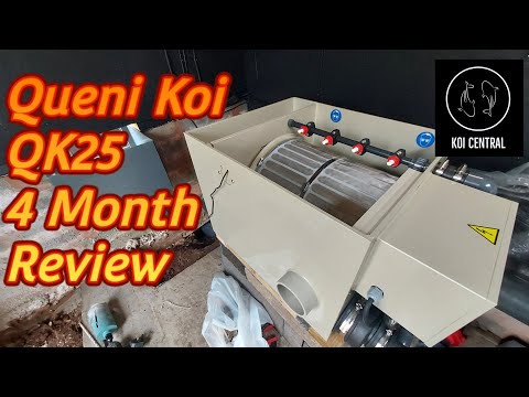 Queni Koi QK25 Drum Filter Review On A 10000 Litre Koi Pond Great Results #pondbuild #koipond