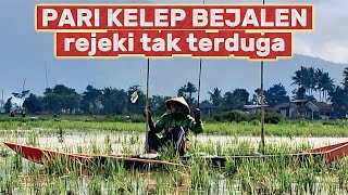 Download lagu Spot bejalen // mancing rawa pening terbaru mp3