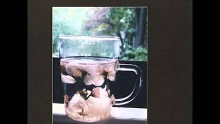 Damon & Naomi - Stars Never Fade