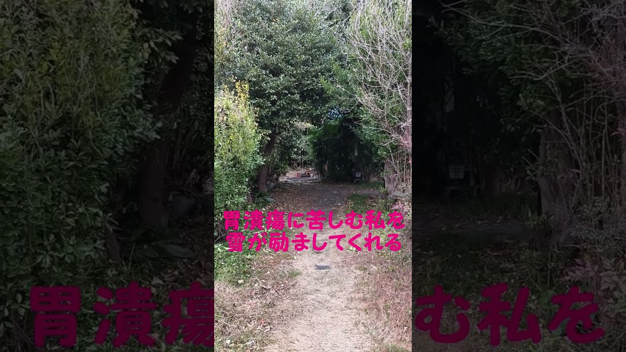 2月の静岡に雪が降る