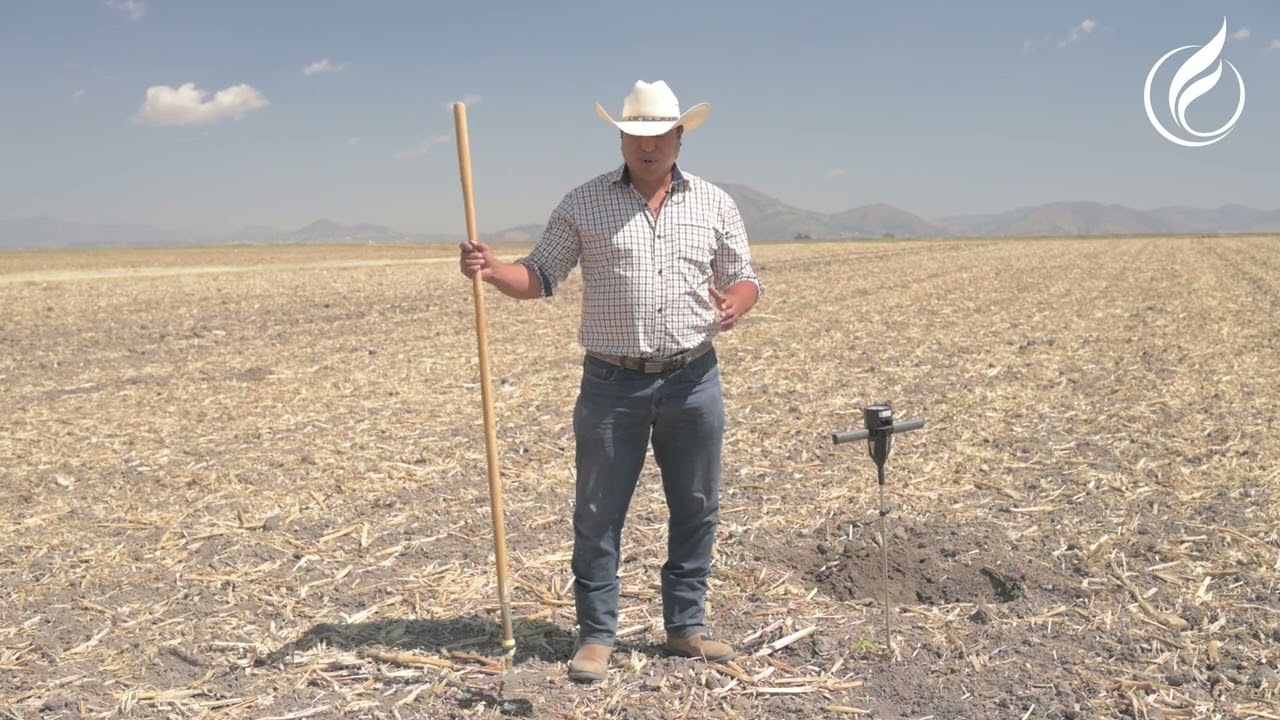 LA IMPORTANCIA DE COMANCHE EN LA PRODUCCIÓN DE MAÍZ | ASPROS.