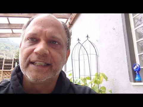 Wissenswertes zum 2.10.1989 - Wir sind das Volk!