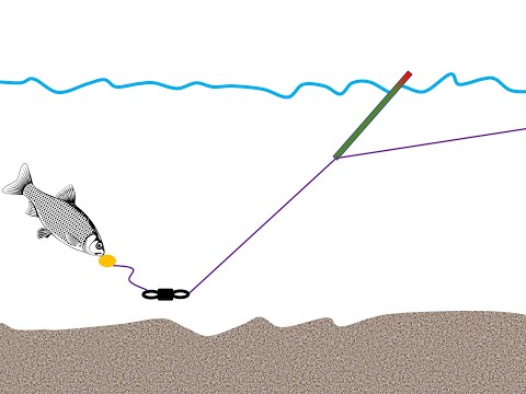 Dr Redfin introduces the lift method 2020 08 15