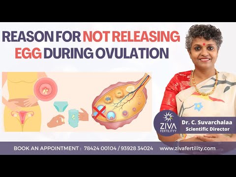 Ovulation Problems || Anovulation || Fertility Tips || Dr C Suvarchalaa || ZIVA Fertilityy