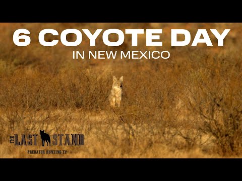6 Coyote Day in New Mexico - The Last Stand S8:E9