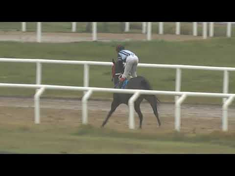 CARRERAS SINT PAYSANDU - 210521 c05 1° NIÑA MOROCHA