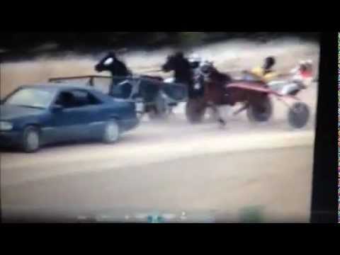 minitrotter felice janfi