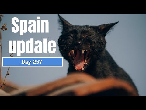 Spain update day 257 - Sanchez's new black beast