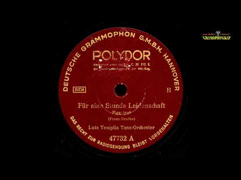 Lutz Templin Tanz-Orchester - Für eine Stunde Leidenschaft