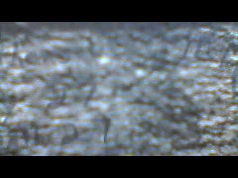 Messages to the Prophets 2017 Head of thorns of Jesus