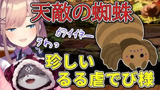 天敵の蜘蛛が現れ様子がおかしい鈴原るる【鈴原るる/でびでび・でびる/にじさんじ】