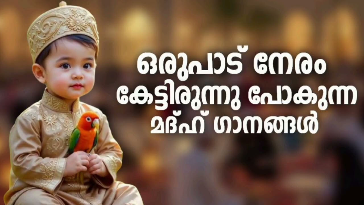 അനേകായിരം പേരുടെ ഹൃദയം കവർന്ന മദ്ഹ് ഗാനങ്ങൾ New Madh Song Select